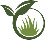 Strive Poinsettia Planting