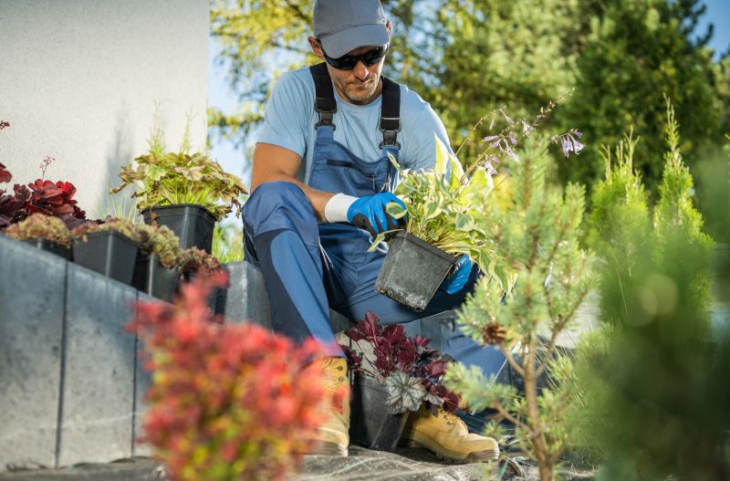 Poinsettia Planting