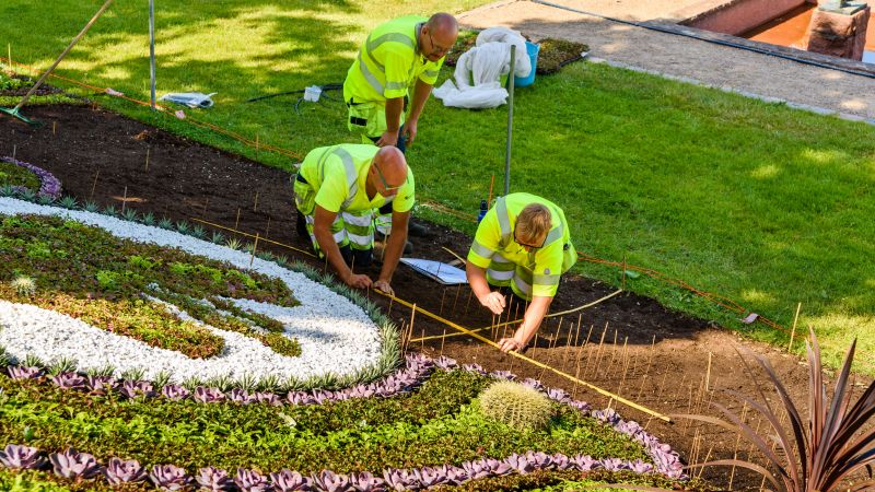 Poinsettia Planting